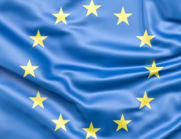 Nuovo regolamento europeo sulle revisioni